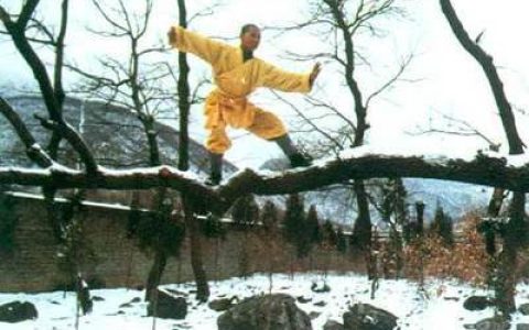 山西民间十大武术高手排行榜(晚清民间十大武术高手)