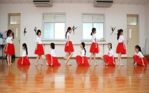 少儿舞蹈十大排行榜(银川少儿舞蹈培训班排行榜)