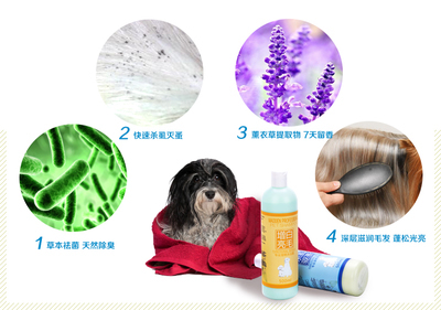 十大除尘螨用品排行榜图片(十大除螨仪品牌排行榜)插图1