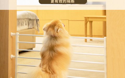 十大宠物店小说排行榜(宠物店加盟店排行榜)