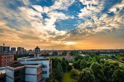 成都十大学区排行榜初中(南京小学和初中双学区 排行榜)插图1