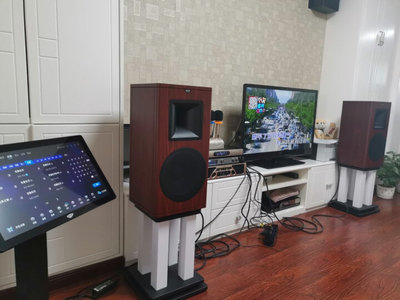 ktv音响排行榜十大品牌排名(音响kTv品牌排行榜前十名)插图