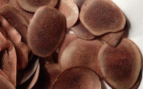 鹿茸品牌十大排行榜(鹿茸品牌排行榜)