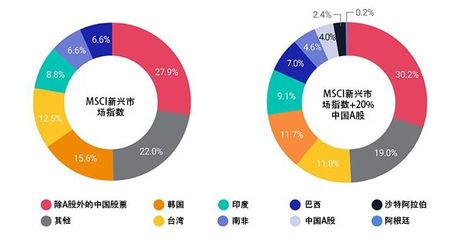 四川十大粉丝排行榜(中国十大粉丝排行榜前十名)插图