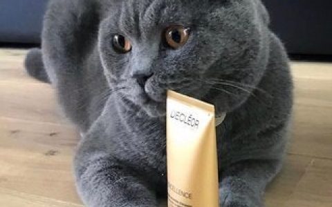 德国十大名牌鱼油排行榜(十大名牌猫咪鱼油)