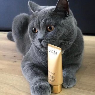 德国十大名牌鱼油排行榜(十大名牌猫咪鱼油)插图