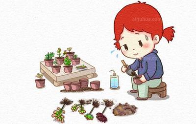 十大吃土专业排行榜(十大必吃自助餐排行榜)插图