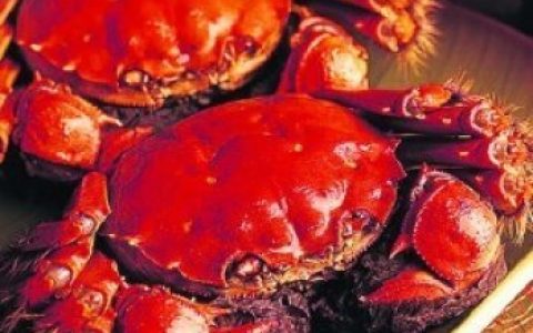 十大减肥海鲜食品排行榜(十大减肥零食排行榜)