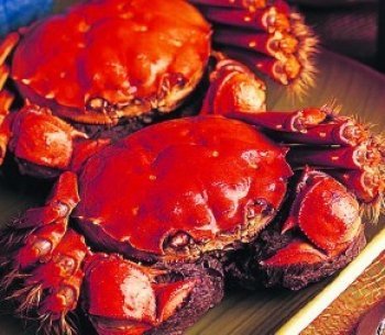 十大减肥海鲜食品排行榜(十大减肥零食排行榜)插图