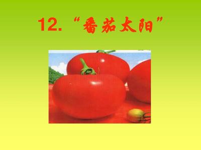 番茄小说十大烂书排行榜(番茄十大公认最好看的小说)插图