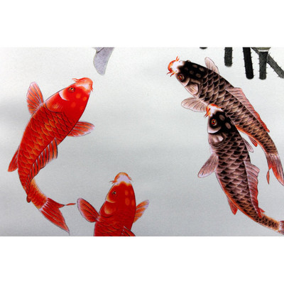 日本锦鲤十大品牌排行榜最新(十大锦鲤饲料排行榜)插图1
