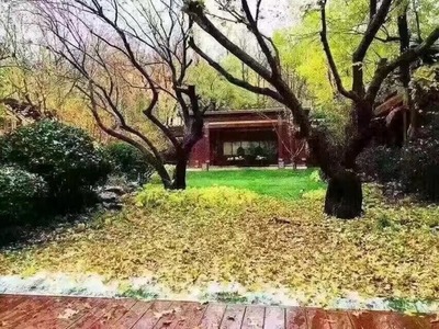 北京院子十大豪宅排行榜(亚洲十大豪宅泰禾院子)插图1