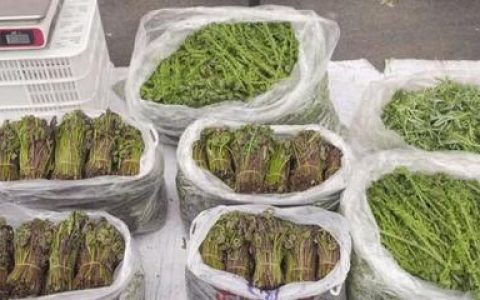 中国槟榔毒品排行榜(中国毒品城市排行榜)