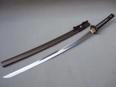 全国十大锦衣卫排行榜(锦衣卫兵器排行榜)插图1