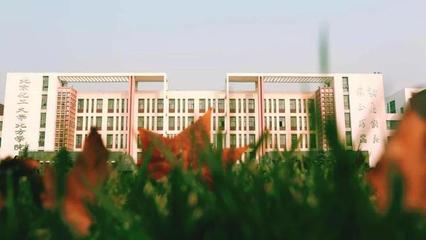 丰城十大中学排行榜最新(丰城最好的中学排行榜2020)插图