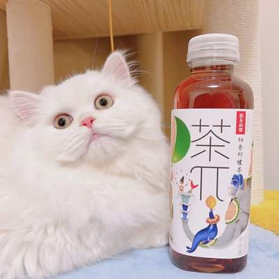 京东十大毒猫粮排行榜(中国十大国产猫粮品牌排行榜)插图