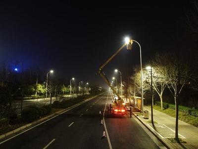 中国路灯公司排行榜(河南路灯厂家排行榜)插图