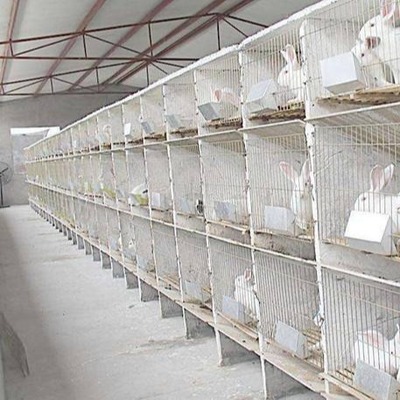 中国养猪行业排行榜(中国养猪百强企业排行榜)插图3