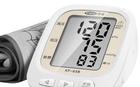 测血压十大排行榜(血压仪器十大品牌排行榜及价格)