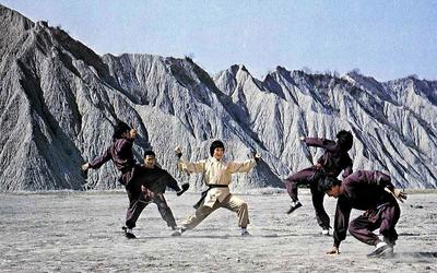 武打片十大高手排行榜(中国最早武打片排行榜前十名)插图1