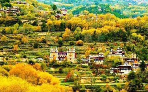 中国旅行集团排行榜(中国旅行排行榜前十名)