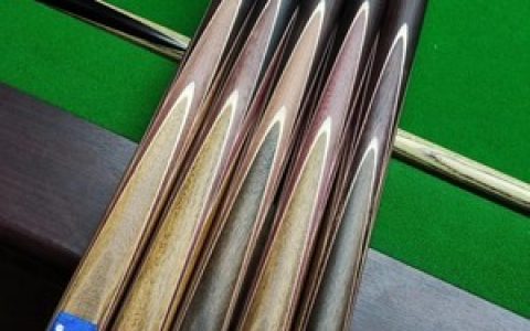 十大国产台球杆排行榜(十大台球杆品牌排行榜前十名)