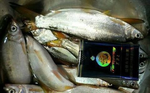 福州十大水产企业排行榜(水产药十大品牌排行榜)
