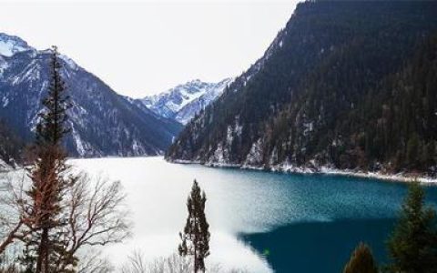 世界游戏排行榜中国(世界游戏热度排行榜)