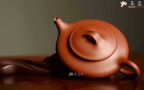 十大经典猫片排行榜(十大经典紫砂壶型排行榜)