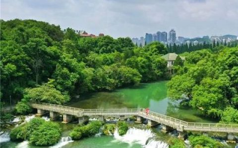 婴儿酱油十大排行榜(中国十大无添加酱油排行榜)