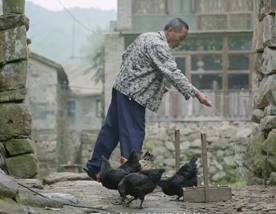 十大乡村搞笑剧排行榜名单(2022中国十大最美乡村排行榜)插图