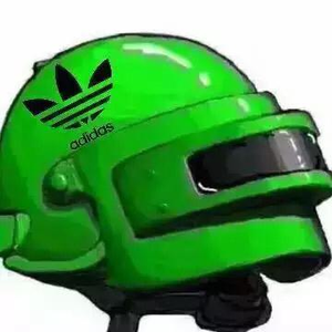 十大大头菜排行榜(十大头盔品牌排行榜)插图