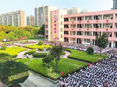 南宁十大最差的小学排行榜(十大最差零食排行榜)插图3