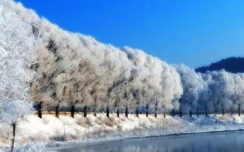 中国十大惊人相片排行榜(十大隔离霜排行榜10强相片)