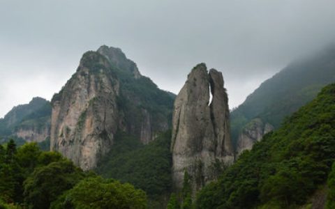 毒王十大排行榜(世界十大毒王第一名)