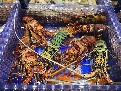 十大海鲜网站排行榜大全(海鲜批发网站排行榜)插图1