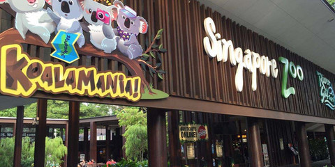 贵州十大卤肉店排行榜最新(全国十大鲜猪肉店品牌排行榜)插图