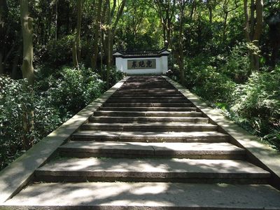 杭州十大龙井品牌排行榜(杭州十大景点排行榜)插图
