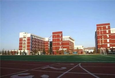 北京前十大小学排行榜(哈尔滨十大小学排行榜)插图