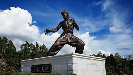 中国南拳功夫排行榜(中国明星功夫排行榜)插图