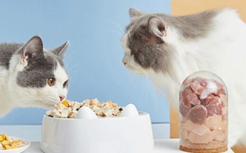 京东猫粮十大品牌排行榜(十大良心猫粮品牌排行榜)