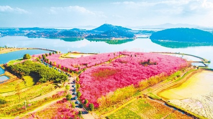 中国购物胜地排行榜(赏樱胜地排行榜)插图1