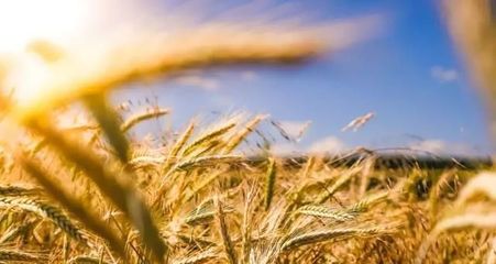 世界十大赚钱公司排行榜(世界十大最赚钱的公司)插图1