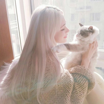 猫咪女神十大排行榜(十大温顺的猫咪排行榜)插图