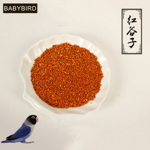 鹦鹉鸟粮十大品牌排行榜(鹦鹉鸟粮买哪种品牌好些)插图