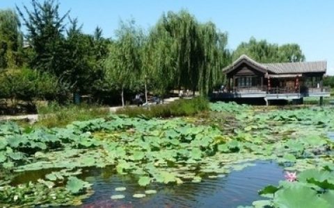 禹州十大农家乐排行榜(湖州十大农家乐排行榜)