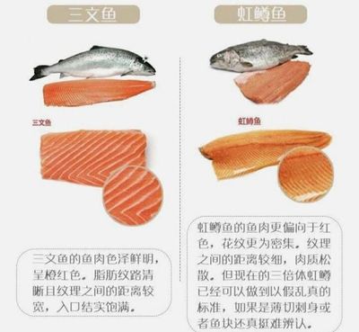 中国鱼肉质排行榜(鱼肉胆固醇排行榜)插图1