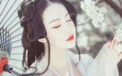 博主十大排行榜(十大古言女主排行榜)插图