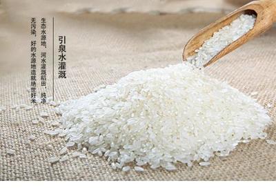 中国最贵十大大米排行榜(中国十大大米价格)插图3