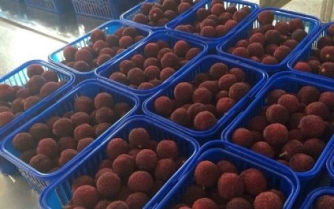 中国麻辣水果排行榜(中国水果基地排行榜)